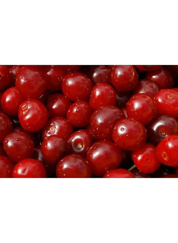 Mazzoni Organic Frozen Sour Cherry, 2.5 Kg