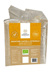 Mulino Angelica Organic Senatore Cappelli Integrale Flour, 5 Kg