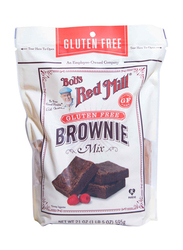 Bob's Red Mill Organic Brownie Mix, 21oz