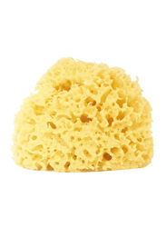 Sea Sponge Organic Natural Medium Sponge, 10cm, Yellow