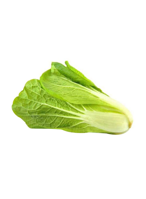 

Lets Organic Romaine Lettuce Lebanon, 500g