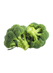 Lets Organic Broccoli Lebanon, 1 Kg