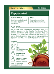 Traditional Medicinals Organic Peppermint Tea, 16 Tea Bags