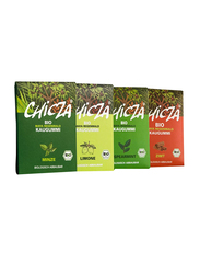 Chicza Organic Mayan Rainforest Spearmint Chewing Gum, 30g