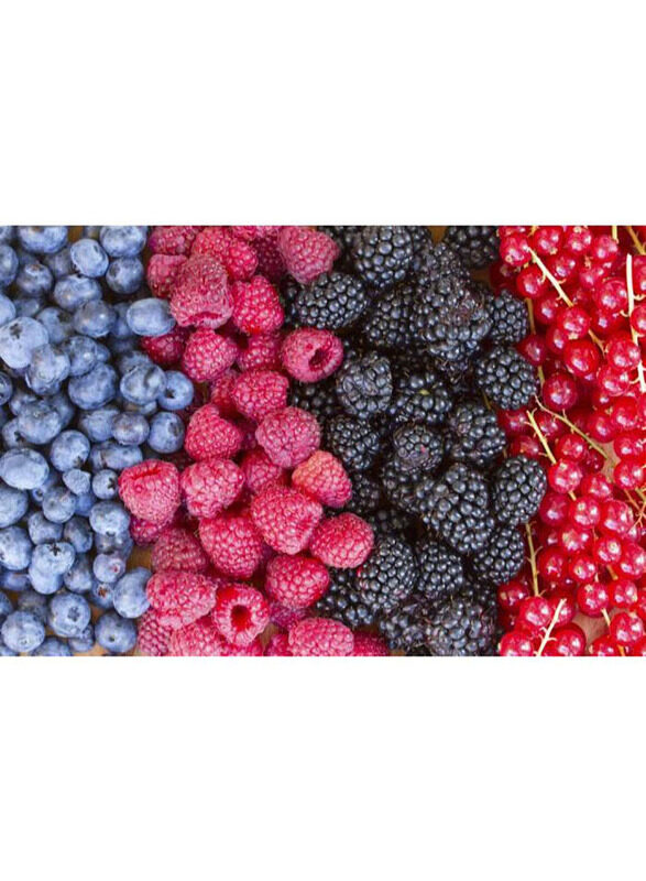 

Il Nutrimento Organic Frozen Mix Forest Berries, 2.5 Kg