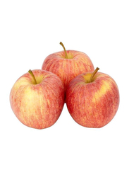 Lets Organic Apple Royal Gala Chile, 1 Kg