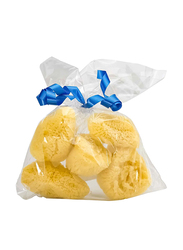 Sea Sponge Organic Small Sponge Set, 5 Pieces