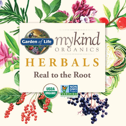 Garden Of Life Mykind Organics Elderberry Immune Syrup, 195ml