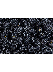 Mazzoni Organic Frozen Blackberry, 2.5 Kg