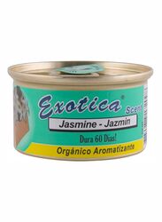 Exotica 55g Jasmine Flavour Air Freshener, Teal