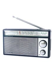 Panasonic Portable Radio Transmitter, RF-562D, Silver/Black