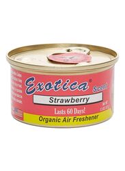 Exotica 42g Strawberry Flavour Organic Blocks Organic Air Freshener, Red
