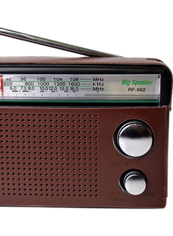 Panasonic 3 Band Portable Radio, RF-562DGC1-K, Brown