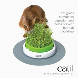 Hagen 2.0 Catit Senses Grass Planter for Cat, White/Green