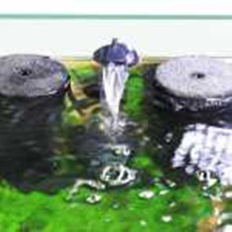 Sunsun Filter Aquarium Sponge with Pump, JF-160, Black