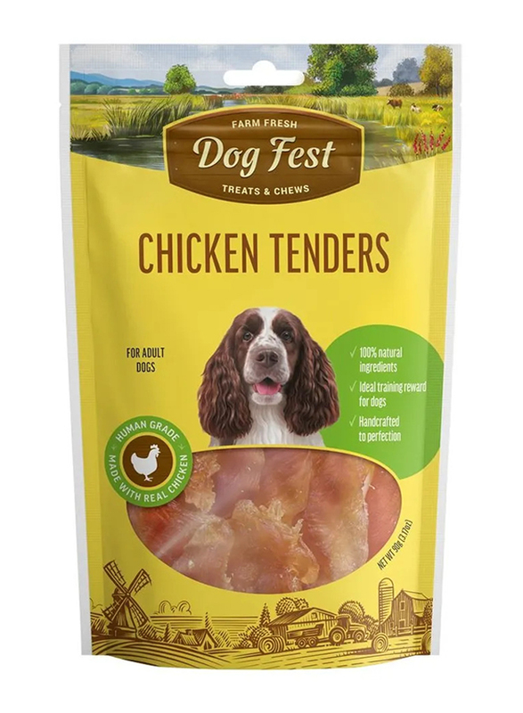Dog Fest Chicken Tenders Dry Dog Food, 90g