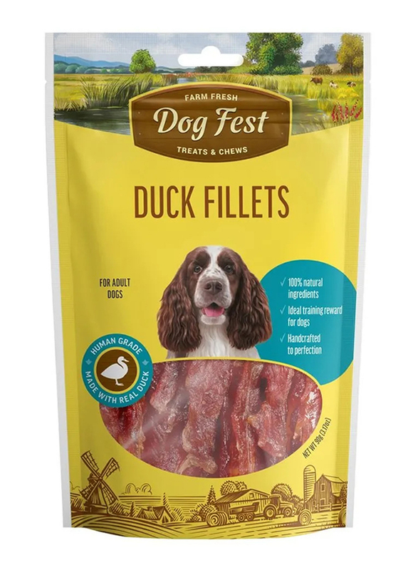 Dog Fest Duck Fillets Dry Dog Food, 90g