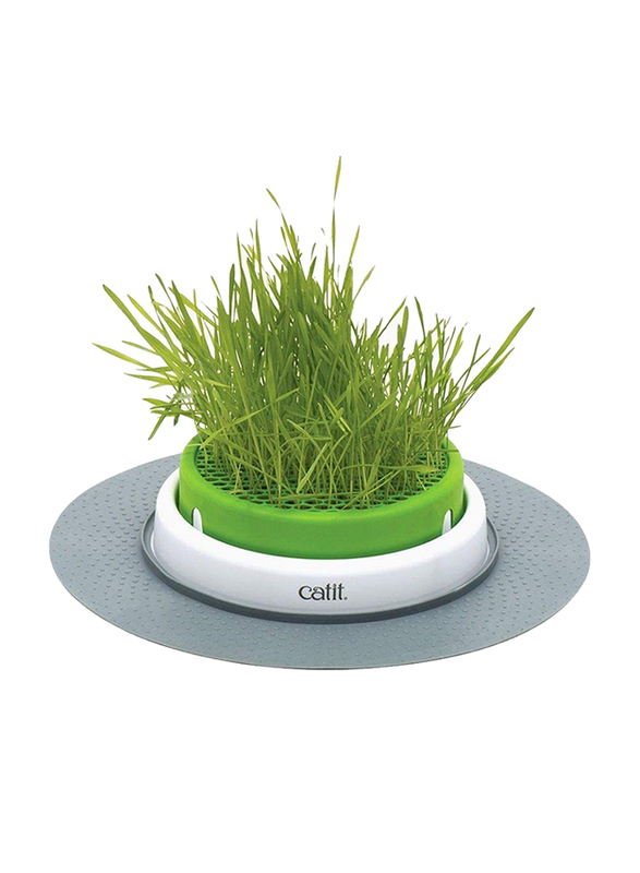 Hagen 2.0 Catit Senses Grass Planter for Cat, White/Green