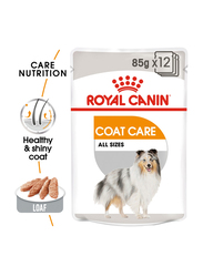 Royal Canin Canine Care Nutrition Coat Care Dog Wet Food, 85 grams