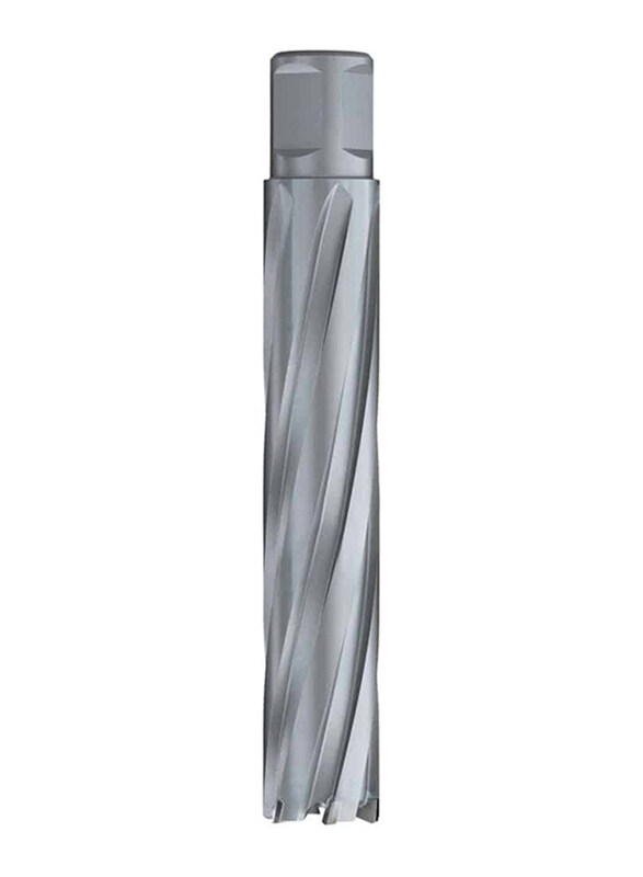 

Euroboor TCT Annular Cutter, 17 x 100mm, Silver