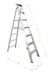 EMC Aluminium Multi-Purpose 6 Steps Portable Ladder, Silver