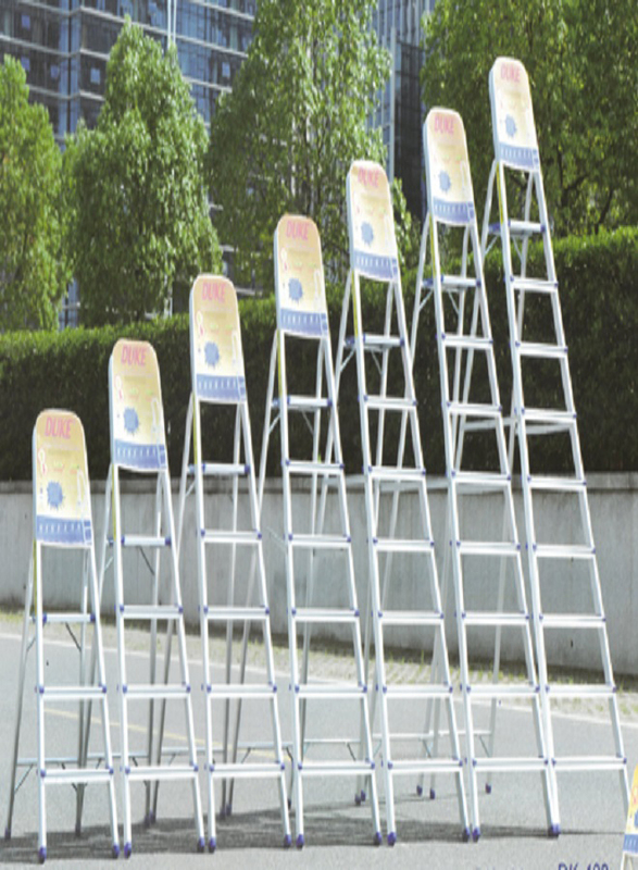 Duke Aluminium Light Duty Ladder 6 Steps, DK-406, Silver