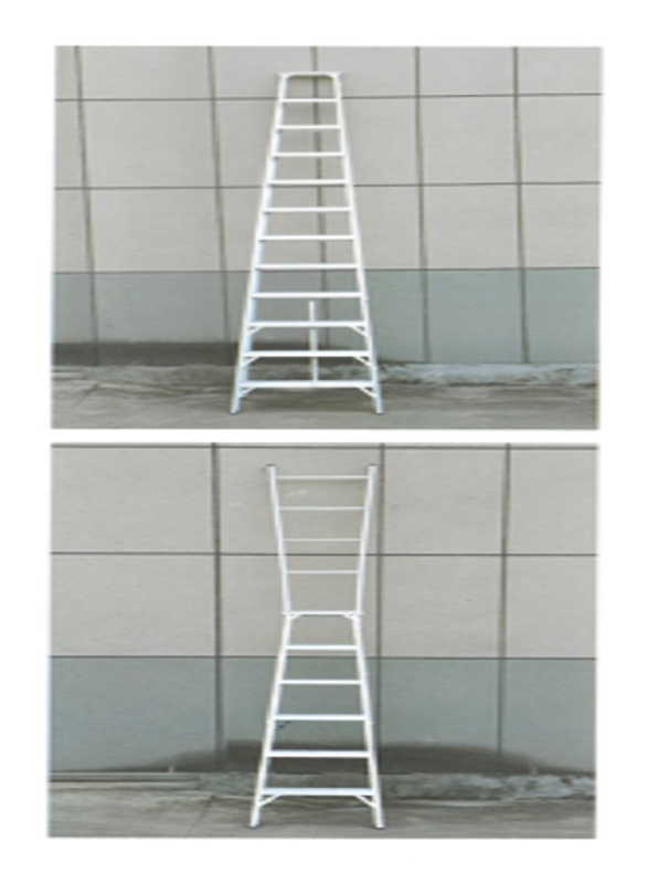 Duke Dual Heavy Duty Ladder 10-19 Steps, DK-1810, Silver