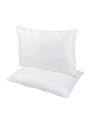 Home Canvas Dream Sleeping Wood Pillow Set, 2 Pillows, White