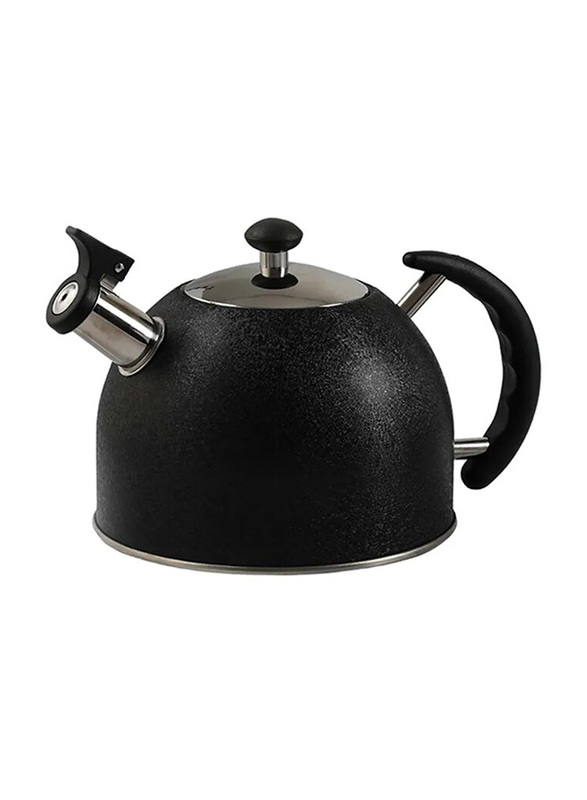 Life Smile 2.5-Liter Stainless Steel Round Whistling Kettle, Black/Clear