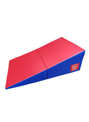 Dega Vinyl Folding Gymnastics Wedge Mat with Carrying Handles & Incline Tumbling Cheese Mat for Kids Play/Home Exercise/Aerobics/Gymnastics Training, 120cm, Red/Blue
