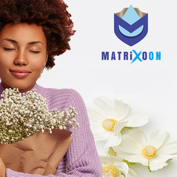 MatrixoOn Hand & Surface Sanitizer, 250ml