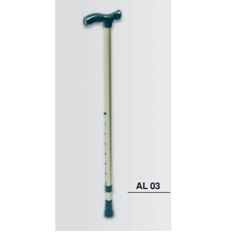 Aluminum Walking Stick