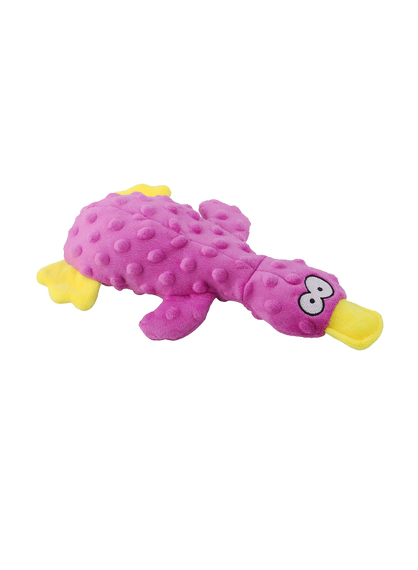 Plush Pet Squeaky Bird Dog Toy, Multicolour