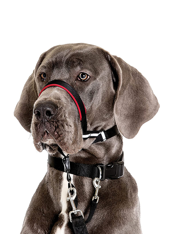 Company of Animals HO03 Halti Optifit Head Dog Collar, Large, Black
