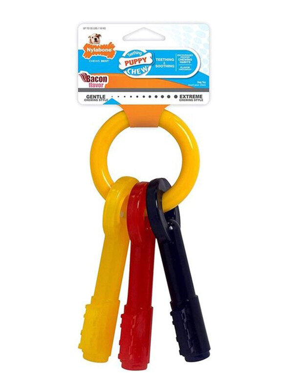 

Nylabone Puppy Chew Teething Keys Toy, Small, Multicolour