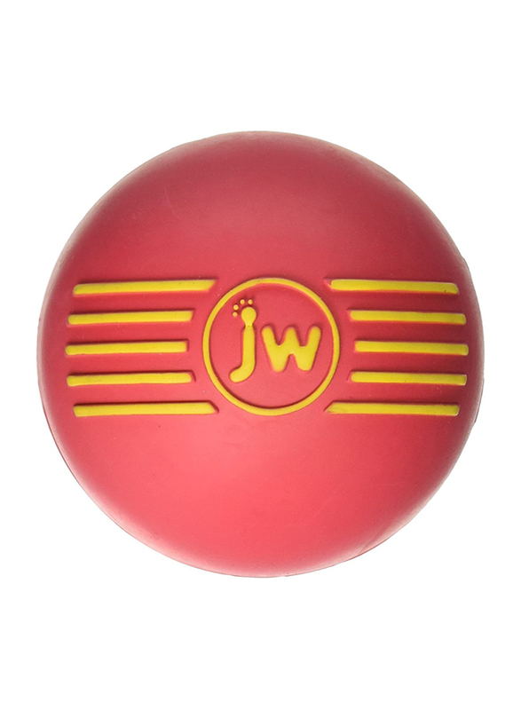 Petmate Jw Isqueak Ball, Large, Assorted
