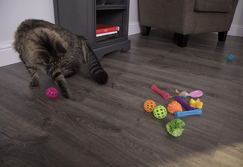 Smartykat Smarty Stash Cat Toy, 13 Pieces, Multicolour