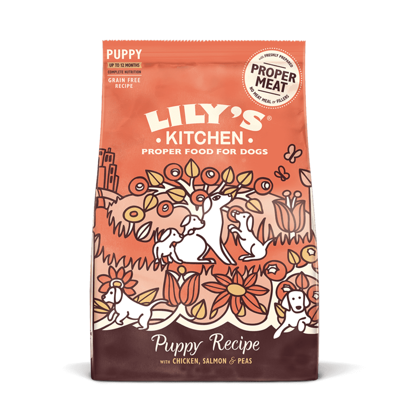 

Lily's Kitchen Puppy Recipe with Chicken, Salmon & Peas Dry Food (1Kg)