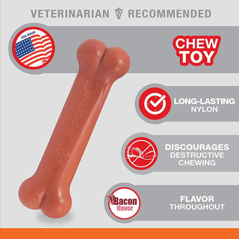 Nylabone Bacon Blister Card Regular Power Chew Toy, Orange