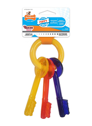 Nylabone Puppy Chew Teething Keys, Large, Multicolour