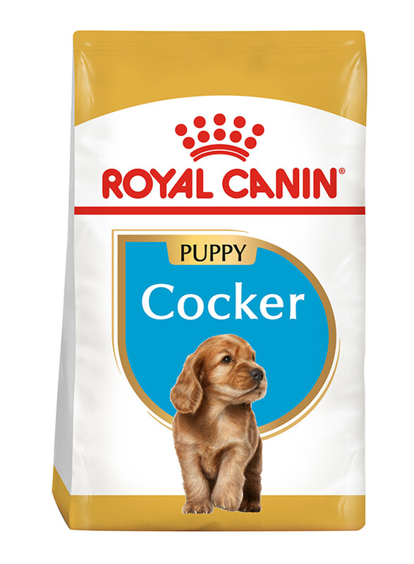 

Royal Canin Breed Health Nutrition Cocker Dry Puppies Food, 3 Kg