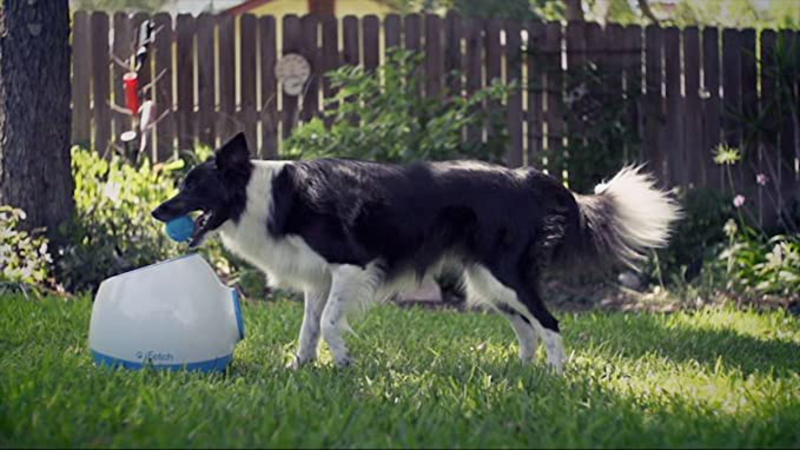 IFetch Interactive Ball Launchers for Dogs, White/Blue