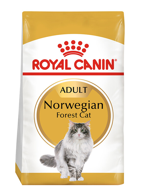 

Royal Canin Feline Breed Nutrition Adult Norwegian Forest Cat Dry Food, 2 Kg