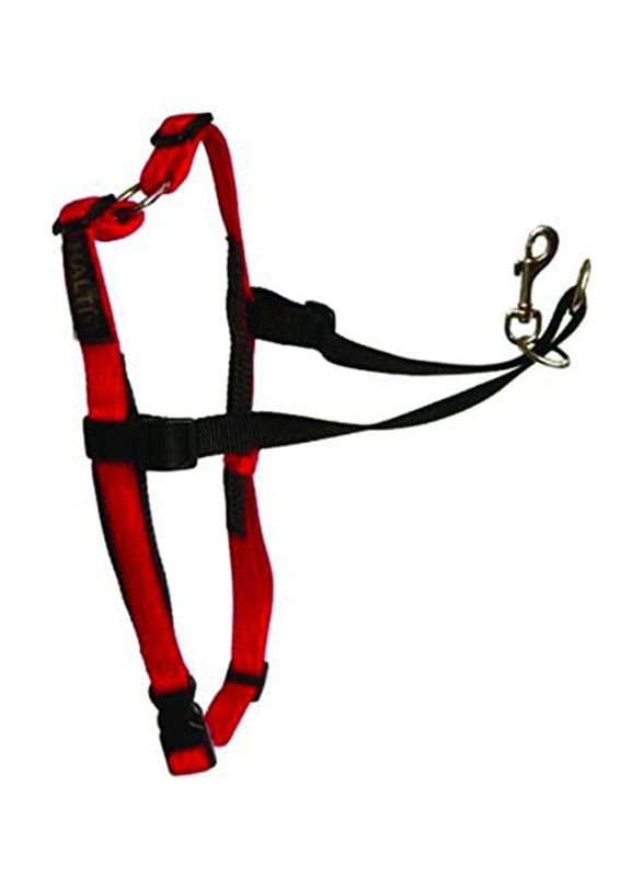 Company of Animals LH03 Dog Harness, Large, Black/Red