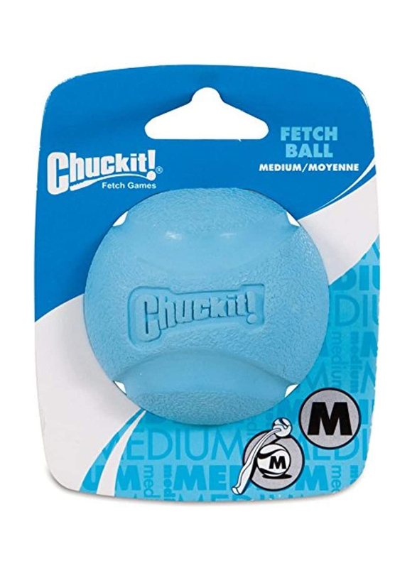 Petmate Chuckit! Fetch Ball, Medium, Blue