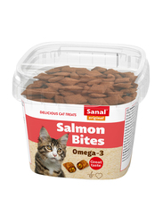Sanal Salmon Bites Omega 3 Dry Cat Food, 75g