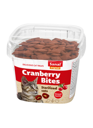 Sanal Cranberry Bites Dry Cat Food, 75g