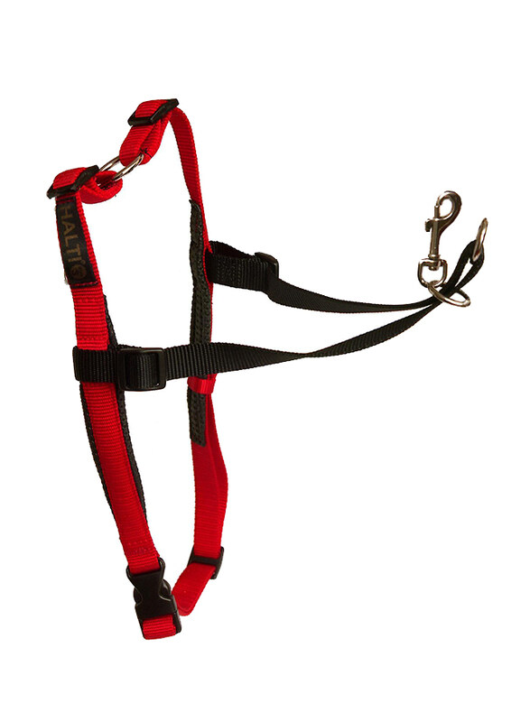 

Flexi Halti Dogs Harness, Medium, 5m, Red