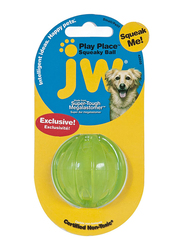 Petmate Jw Pet Play place Squeaky Ball Dog Toy, Small, Blue