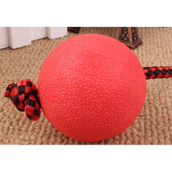 Rubz Rubber Ball with Rope Dog Toy, Large, Multicolour